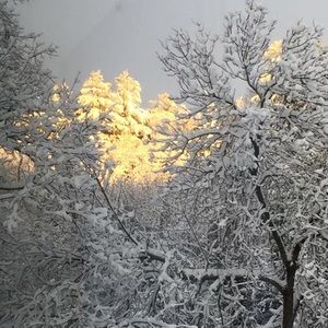 Meet your Posher, Lynn